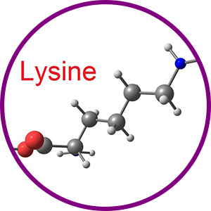 Lysin HCl
